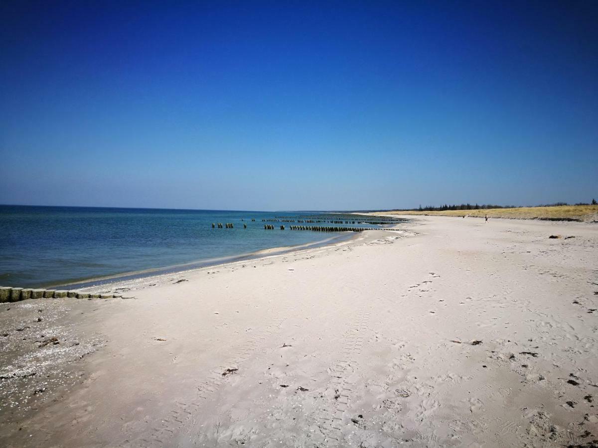 Darsser Strandgut - Haus Ahrenshooper Holz Eksteriør bilde