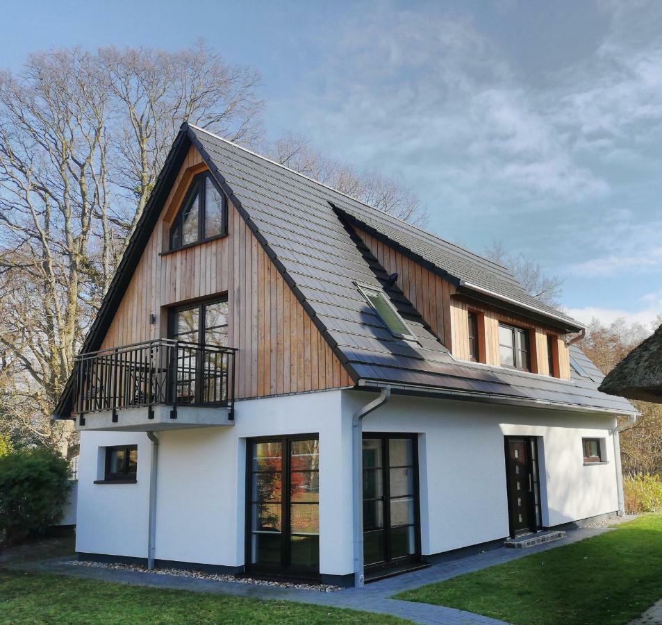 Darsser Strandgut - Haus Ahrenshooper Holz Eksteriør bilde