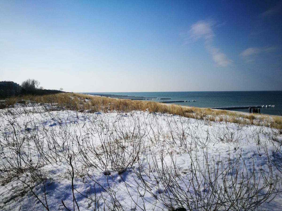 Darsser Strandgut - Haus Ahrenshooper Holz Eksteriør bilde