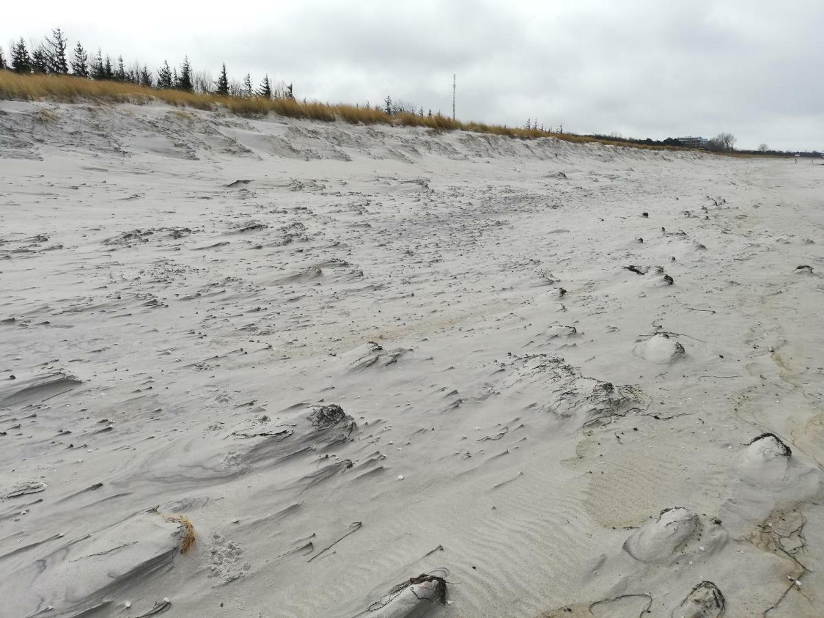 Darsser Strandgut - Haus Ahrenshooper Holz Eksteriør bilde
