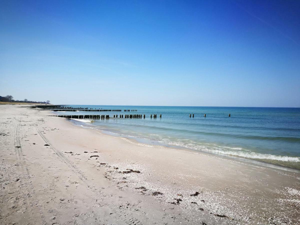 Darsser Strandgut - Haus Ahrenshooper Holz Eksteriør bilde
